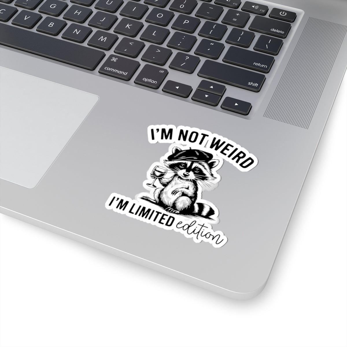 Limited Edition Raccoon Kiss-Cut Stickers - "I'm Not Weird"