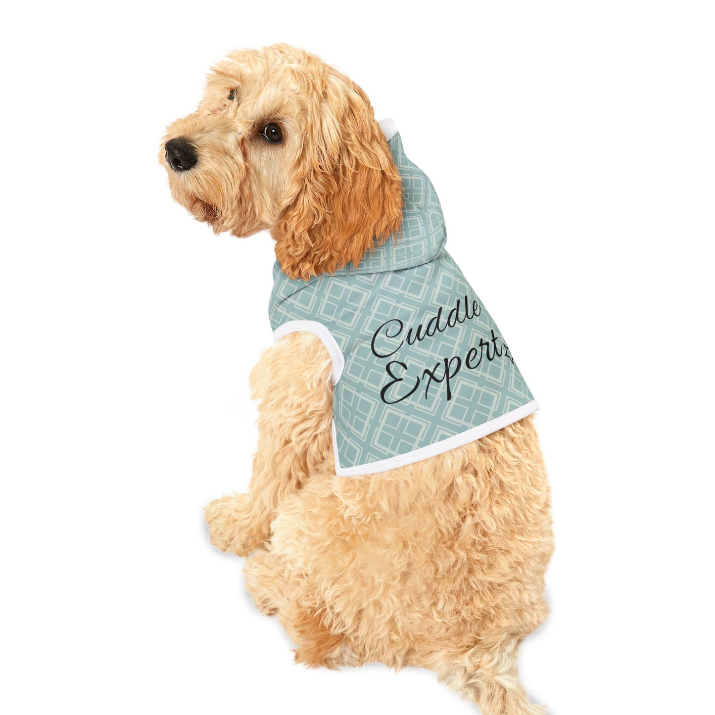 Cuddle Expert Pet Hoodie