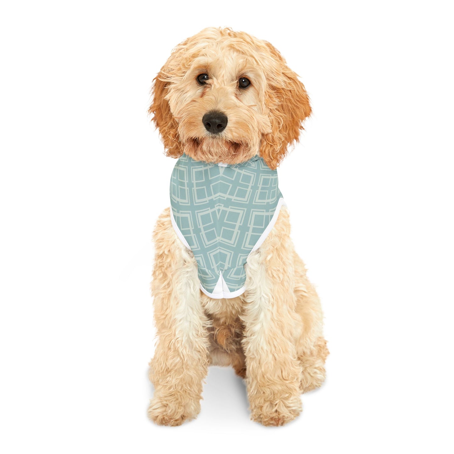 Cuddle Expert Pet Hoodie