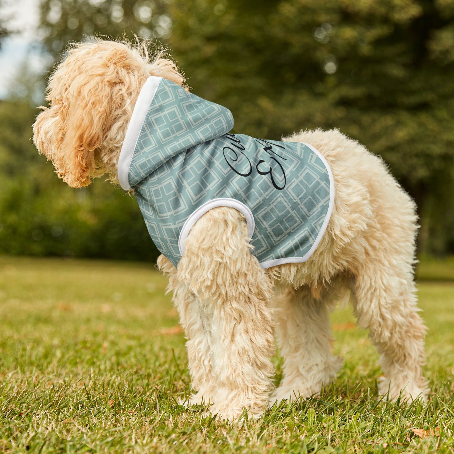 Cuddle Expert Pet Hoodie