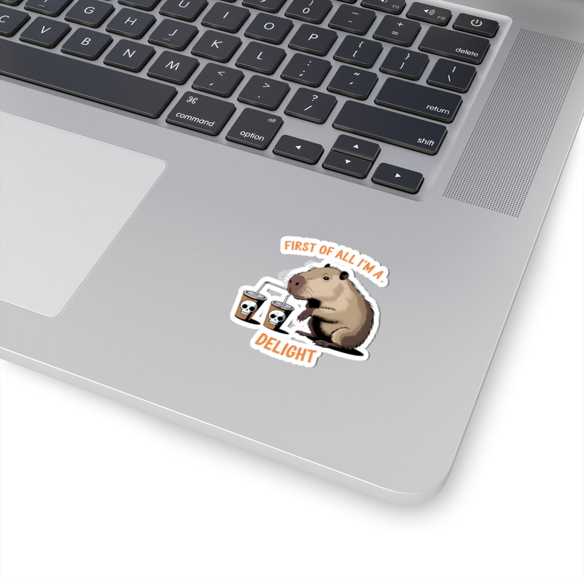 Funny Capybara Kiss-Cut Stickers